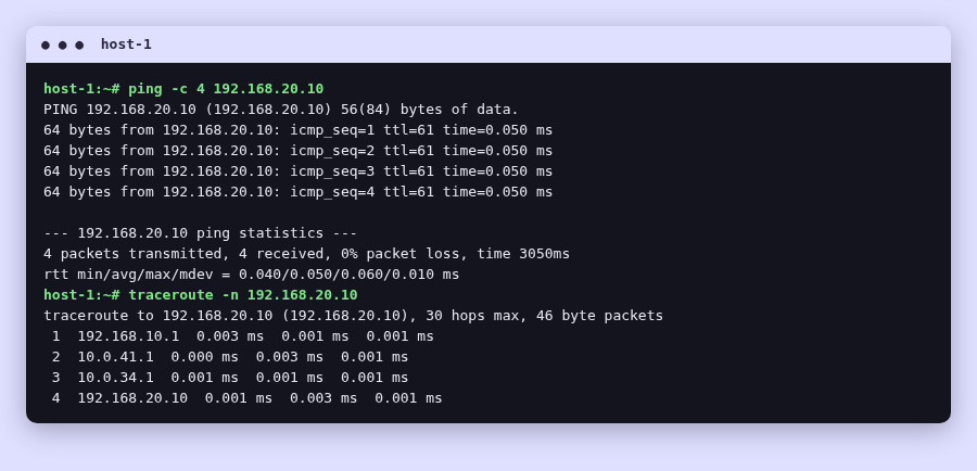 Terminal output of 'ping -c 4 192.168.20.10' from host-1, showing 4 replies and 0 percent packet loss.